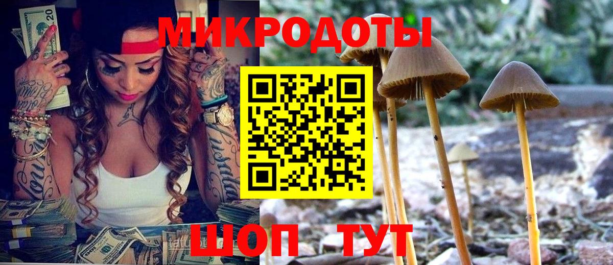 Ессентуки  Псилоцибиновые грибы мицелий  Вход с VPN 